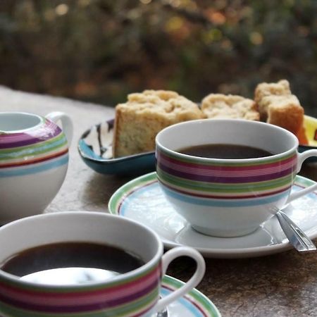 Thulamela Bed And Breakfast 雾观 外观 照片